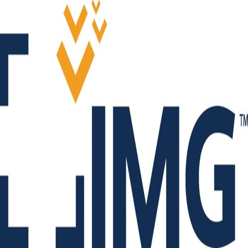 IMG logo on display of the website